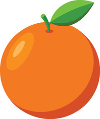 orange fruit vector illustration