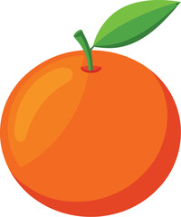 orange fruit vector illustration