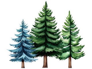 Fototapeta premium A Stunning Collection of Lush Evergreen Trees Showcasing Nature's Beauty in Vivid Detail