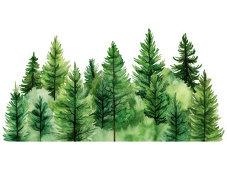 Fototapeta premium Lush Green Pine Trees in a Serene Forest Landscape Captured in Watercolor Style