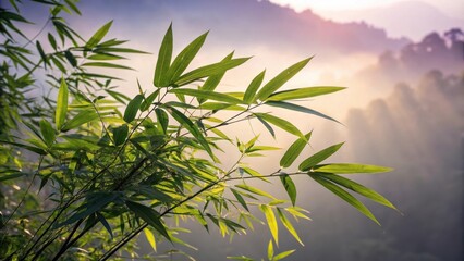 Bamboo leaves bathed in the warm glow of sunrise, casting intricate shadows on a hazy morning backdrop