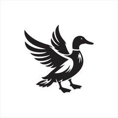 black and white bird