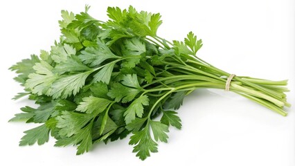 A bunch of fresh parsley, tied with a natural twine, isolated against a white background