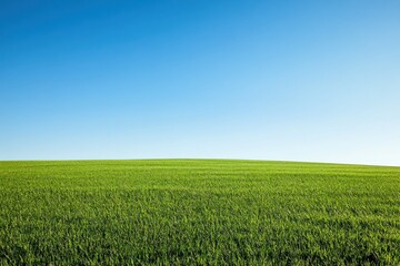 Fototapeta premium Vast green field under a bright blue sky with endless horizon and fresh grass