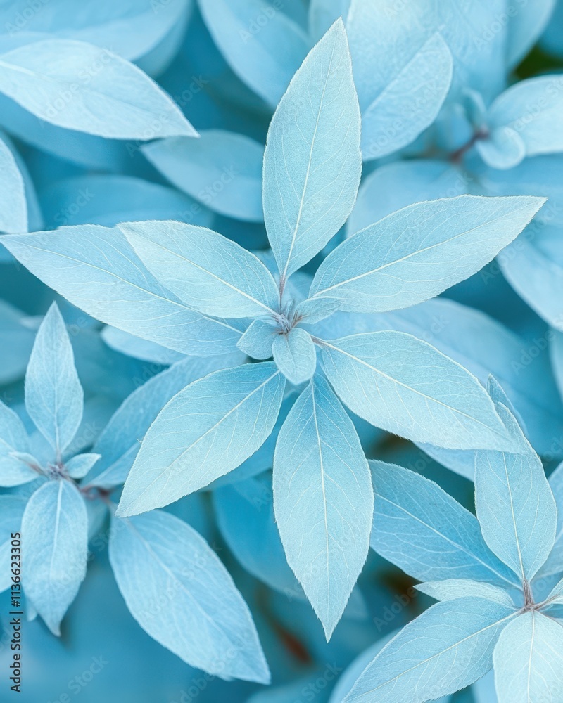 Aufkleber lush blue ivy leaves creating a serene atmosphere in a tranquil garden setting
