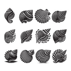 Seashell Silhouette Vector Illustration, Solid White Background.