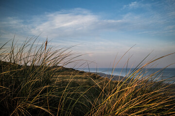 Dune landscape on the Island of Sylt