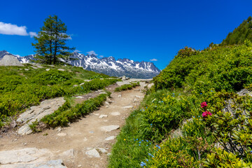 Alps scenic landscape on Tour du Montblanc. Rocky and snow summit peaks of the Alps on the trekking...