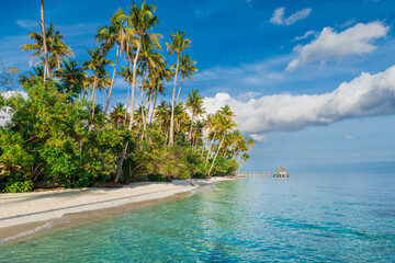Sandy beach with palm trees and quiet sea on tropical island. Travel vacation banner.
