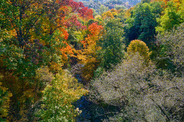 Aerial drone view of the autumn leaf colour with a stream in the valley