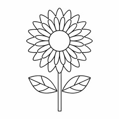 Clean Sunflower Line Art for Floral Graphics.