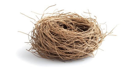 Obraz premium Classic dried weed Tangled and rough Isolated on white background.