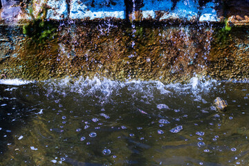 This is a close up image showing a splash of water in a body of water