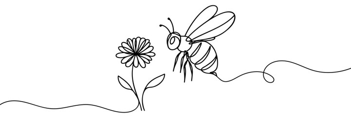 Continuous one line drawing of flaying bee. Simple illustration of honey bee line art vector illustration. © Vasyl Yurlov