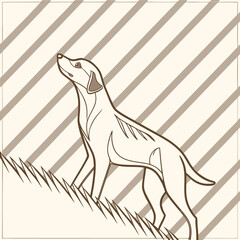 Fototapeta premium Subtle pinstripes in light beige forming diagonal lines