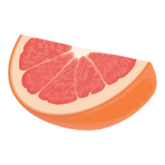 Illustration of fresh fruit hand-drawn vector