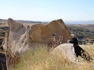 Cappadogland