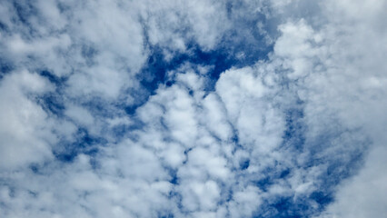 Fototapeta premium cloudy sky with varying densities of clouds scattered across a blue background. 