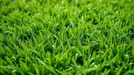 Fototapeta premium Vibrant and realistic artificial grass background perfect for outdoor settings, nature, environment, summer