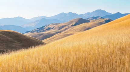Obraz premium Enchanting Golden Hills of French Landscape Bathed in Warm Sunlight