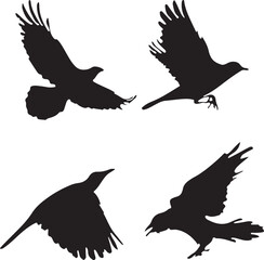 4 silhouettes of flying birds