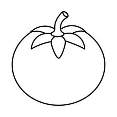 Tomato Outline Vector Illustration. The tomato is drawn in a minimalistic outline style with a smooth, round body and a stem on top.