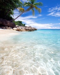 Clear Turquoise Waters and a Serene Beach Under a Bright Blue Sky in a Tropical Paradise