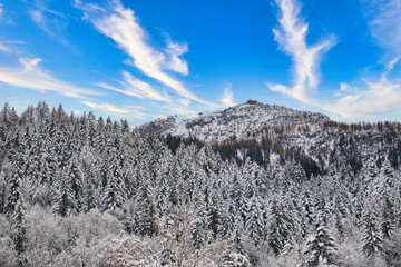 Winterlandschaft mit B&auml;umen mit Schnee und Kehlsteinhaus