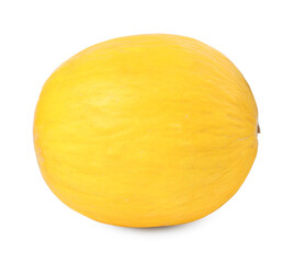 One whole ripe melon isolated on white