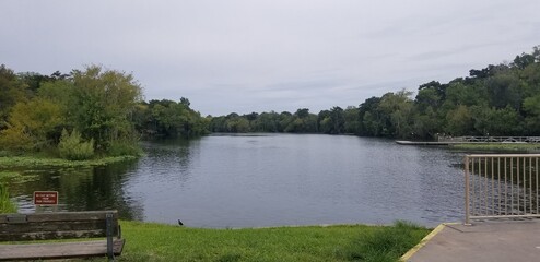 Florida Swamp