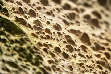 Close up of rugged rock surface with unique weathered textures and natural patterns.