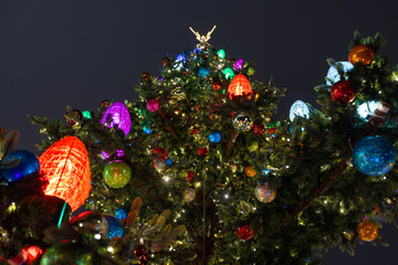 Ozdoby świąteczne na choince  © Sieku Photo