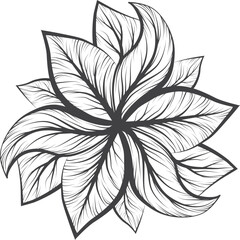 Abstract eco theme from black and white leaves