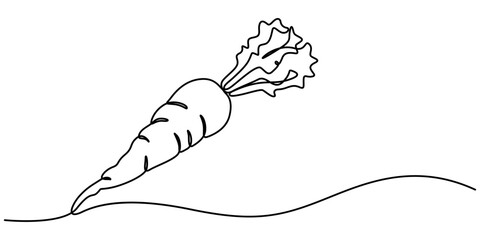 Continuous one line drawing of isolated carrot outline vector art illustration, Simple carrot in continuous one line art drawing design, Growing carrot plant minimalist outline vector, one line draw 
