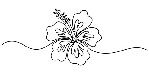 Hibiscus flower in one line art drawing style. Black line sketch on white background. Vector illustration, Hibiscus flower in one continuous line drawing. Floral abstract symbol in simple linear style © line drawing