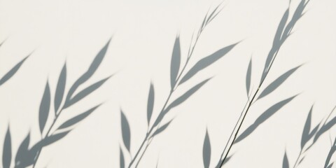 Naklejka premium Soft shadows of plant leaves cast on a light surface create a delicate, serene atmosphere in natural light