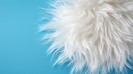 A fluffy white fur ball on a blue background