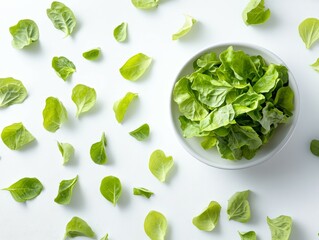 Obraz premium Healthy Organic Lettuce Leaves Ready for Salad Preparation on Clean Surface, Vegetables Green