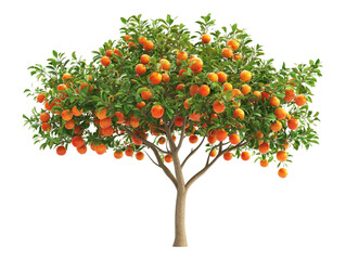 A fruit tree, isolated on a transparent background, highlighting its natural beauty, perfect for nature, gardening, or seasonal-themed designs.