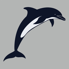 Obraz premium dolphin silhouette vector design art and illustration