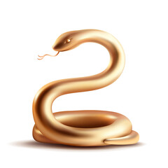 Golden snake on plain background. Isolated.