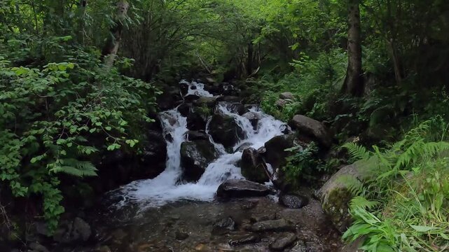 Cascade d'Enfer, Cascade Cau, Vall&eacute;e du Lis