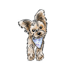 Cute pet watercolor style illustration - puppy dog