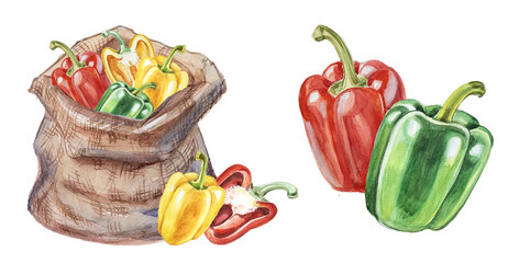Watercolor bag with bell pepper isolated on white. Hand drawn vegetable illustration. Menu or cook book cover clipart.	Pepper spice illustration.