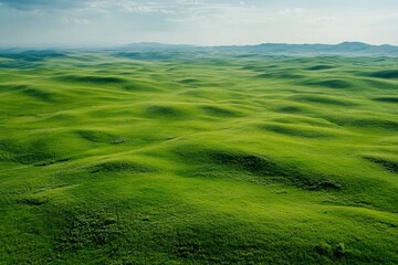 Fototapeta premium Vast lush green meadow top view nature landscape gigapixel standard serene environment aerial perspective tranquility