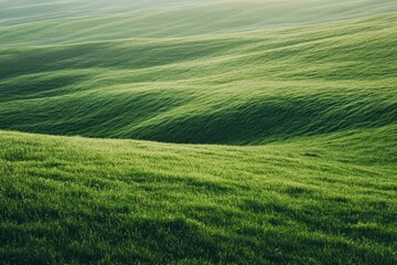 Obraz premium Aerial view of a vast lush green meadow nature landscape gigapixel quality serene environment tranquil concept