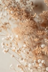 A close-up of dried flowers, with their intricate details and soft tones creating an ethereal atmosphere.