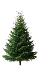 Obraz premium A Christmas tree adorned with a star on top, isolated on a transparent background, ideal for holiday, festive, or seasonal-themed designs.