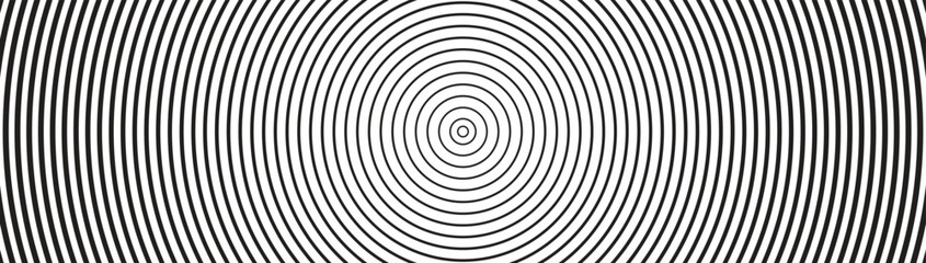 Hypnotic spiral pattern with concentric circles, volutes, and radial rays, creating a psychedelic illusion of a rotating circular tunnel.