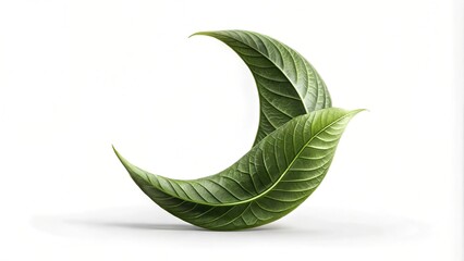 Abstract Moon Shape Leaf Imagery: Vibrant Foliage and Organic Patterns for Artistic Stock Photography